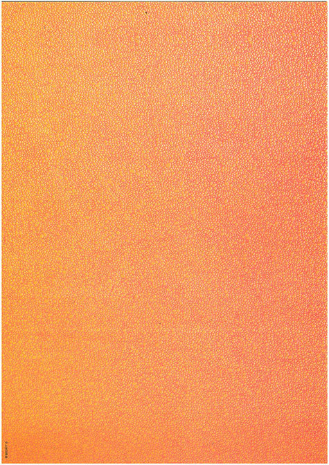 carta: 801S