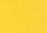 carta Carta personalizzata tinta unita -topaz- per stampanti laser & inkjet. Formato a4 (21x29,7 cm), 95gr x mq, personalizzata a tema DEC803Sx100