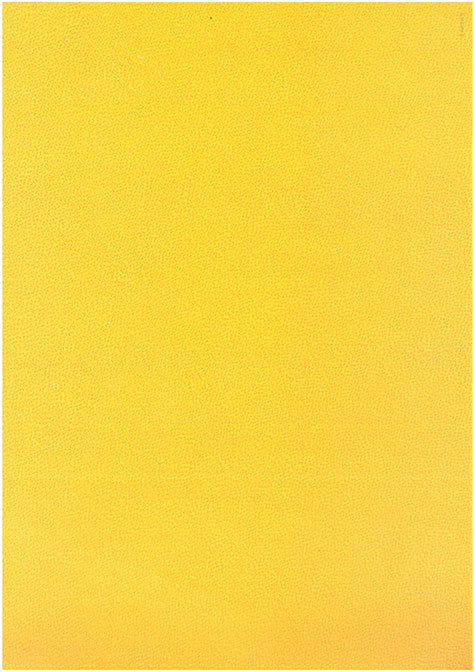 carta Carta personalizzata tinta unita -topaz- per stampanti laser & inkjet. Formato a4 (21x29,7 cm), 95gr x mq, personalizzata a tema.