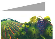 carta cartoncino piegato in 2 con soggetto -vineyard- per stampanti laser & inkjet. Foglio A4 piegabile in A5, 165gr x mq, personalizzata a tema DEC863x70