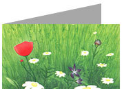 carta cartoncino piegato in 2 con soggetto -spring- per stampanti laser & inkjet. Foglio A4 piegabile in A5, 165gr x mq, personalizzata a tema DEC864x70