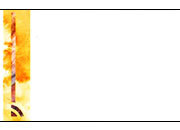 carta Biglietto da visita 54x85mm, cornice -borghese- DEC907x50.