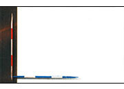 carta Biglietto da visita 54x85mm, cornice -mikado- Per stampanti laser & inkjet. Da un  foglio A4 si ottengono 10 biglietti da visita 85x54mm, 185gr.
