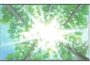 carta Biglietto da visita 54x85mm -undergrowth- per stampanti laser & inkjet. Da un  foglio A4 si ottengono 10 biglietti da visita 85x54mm DEC919x50