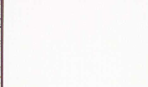 carta Formato 99x210mm, gold line, 155gr laser & inkjet. Tagliato in 3, gold line.