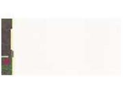 carta Formato 99x210mm, palenque, 155gr DEC936x50.