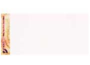 carta Formato 99x210mm, borghese, 155gr laser & inkjet. Tagliato in 3, borghese DEC937x50