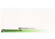 carta Formato 99x210mm, green flash, 155gr DEC943x50.