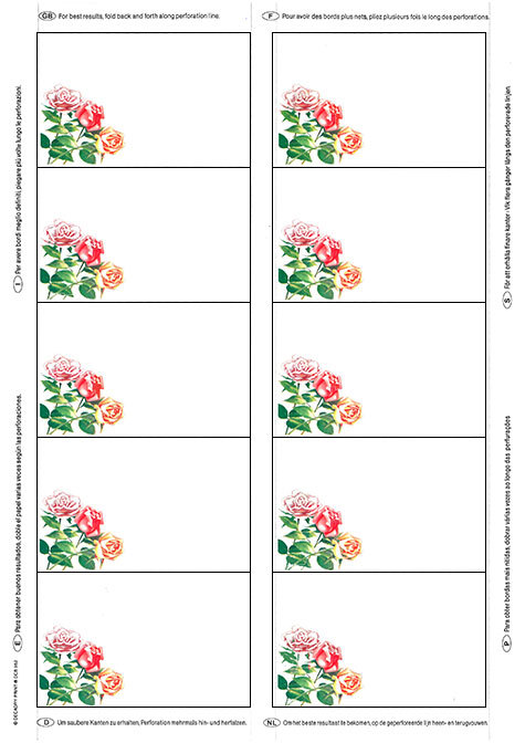 carta: 952