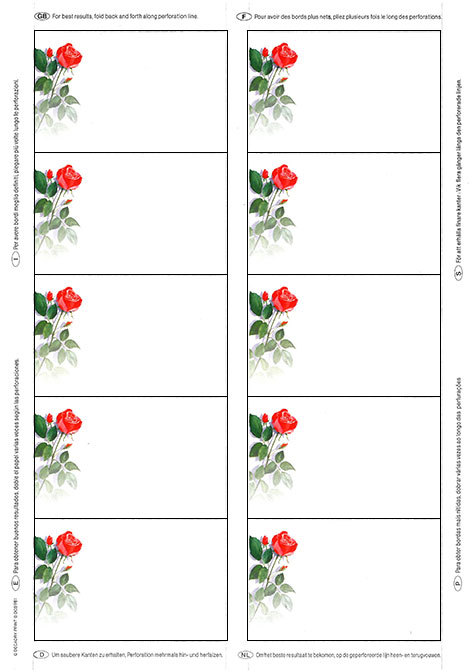 carta Biglietto da visita 54x85mm -rose- per stampant laser & inkjet. Da un  foglio A4 si ottengono 10 biglietti da visita 85x54mm.