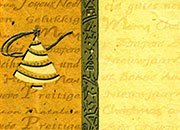 carta Carta personaizzata con cornice -golden fir- DEC1035x100.