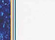 carta Carta personalizzata con cornice -diplomat- per stampanti laser & inkjet. Formato a4 (21x29,7 cm), 95gr x mq, personalizzata a tema DEC121x100