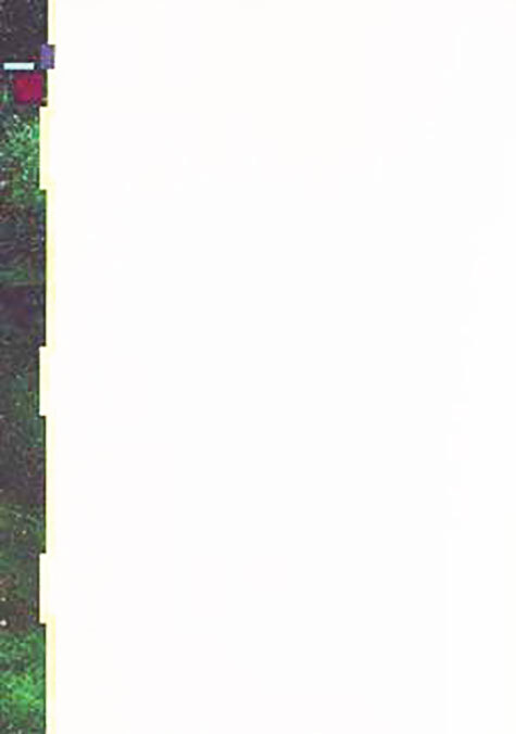 carta Carta personalizzata con cornice -palenque- per stampanti laser & inkjet. Formato a4 (21x29,7 cm), 95gr x mq, personalizzata a tema.