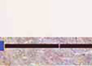 carta Carta personalizzata con cornice -nara- DEC131x100.