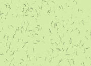 carta Carta personalizzata tinta unita -fibers green- per stampanti laser & inkjet. Formato a4 (21x29,7 cm), 95gr x mq, personalizzata a tema DEC1608x100