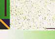 carta Carta personalizzata con cornice -green flash- per stampanti laser & inkjet. Formato a4 (21x29,7 cm), 95gr x mq, personalizzata a tema.