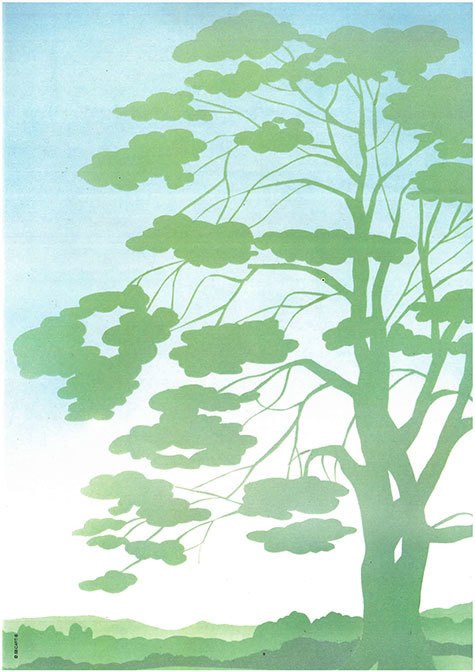 carta Carta personalizzata con soggetto -tree- per stampanti laser & inkjet. Formato a4 (21x29,7 cm), 95gr x mq, personalizzata a tema.