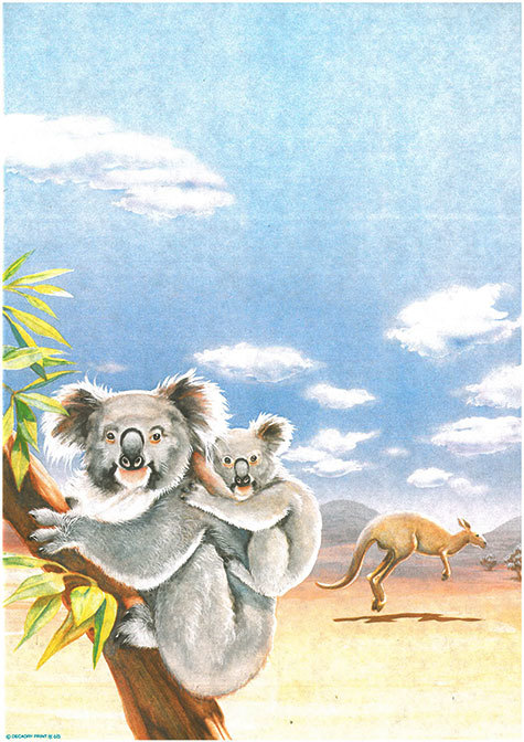 carta Carta personalizzata con soggetto -koala- per stampanti laser & inkjet. Formato a4 (21x29,7 cm), 95gr x mq, personalizzata a tema.