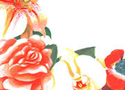 carta Carta personalizzata con cornice -flowers- per stampanti laser & inkjet. Formato a4 (21x29,7 cm), 95gr x mq, personalizzata a tema.