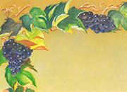 carta Carta personalizzata con soggetto -grapes- per stampanti laser & inkjet. Formato a4 (21x29,7 cm), 95gr x mq, personalizzata a tema DEC631x100