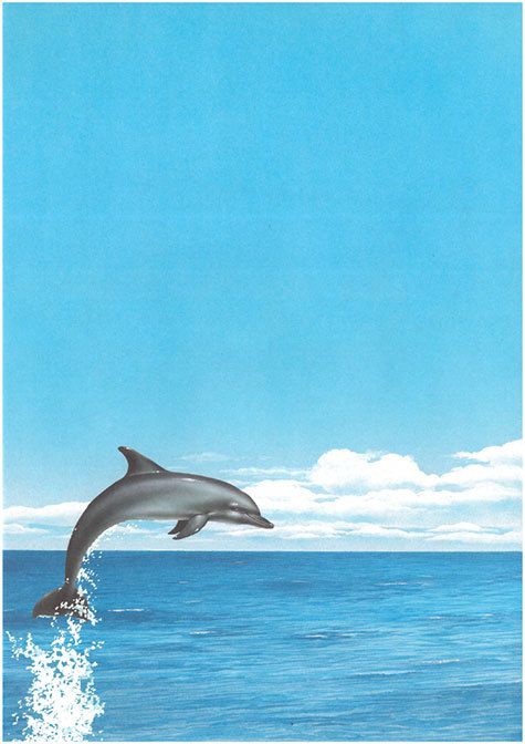 carta Carta personalizzata con soggetto -dolphins- per stampanti laser & inkjet. Formato a4 (21x29,7 cm), 95gr x mq, personalizzata a tema.