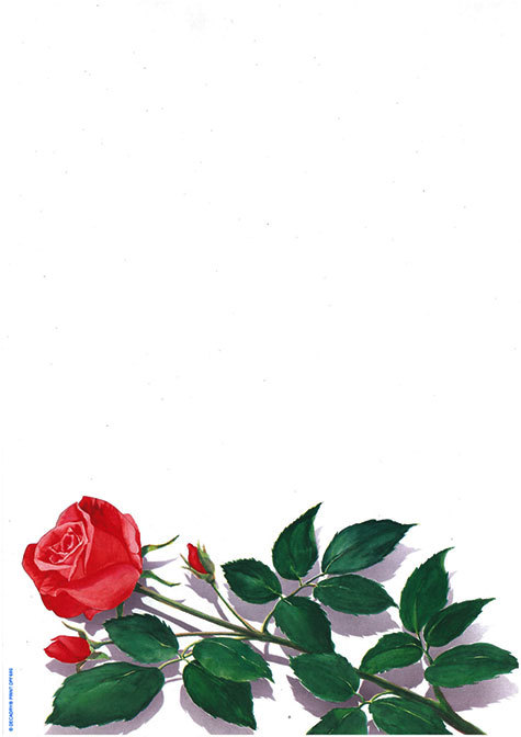 carta Carta personalizzata con soggetto -rose- per stampanti laser & inkjet. Formato a4 (21x29,7 cm), 95gr x mq, personalizzata a tema.