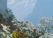 carta Carta personalizzata con soggetto -Alpine Flowers- per stampanti laser & inkjet. Formato a4 (21x29,7 cm), 95gr x mq, personalizzata a tema DEC697x100