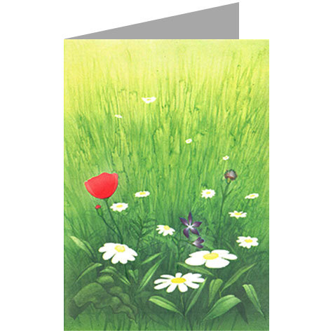 carta cartoncino piegato in 2 con soggetto -spring- per stampanti laser & inkjet. Foglio A4 piegabile in A5, 165gr x mq, personalizzata a tema.