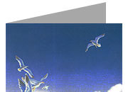 carta cartoncino piegato in 2 con soggetto -seagulls- per stampanti laser & inkjet. Foglio A4 piegabile in A5, 165gr x mq, personalizzata a tema.