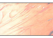 Biglietto da visita 54x85mm -marble- DEC918x50