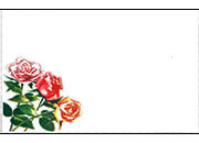 Biglietto da visita 54x85mm -flowers- DEC952x12