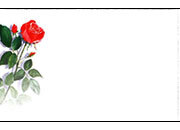 Biglietto da visita 54x85mm -rose- DEC981x50