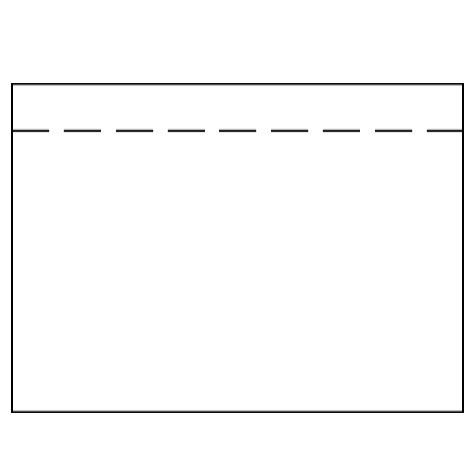 carta Tasca per documenti, 165x120mm, TRASPARENTE Senza stampa, chiusura autoadesiva e striscia staccabile. Prodotto originale Svizzero. MADE IN SWITZERLAND.