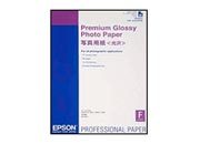 consumabili C13S042091  EPSON CARTA INKJET FOTOGRAFICO LUCIDO PREMIUM A2 250GR 25 FOGLI S-PRO/4000/4400/4450/4800/4880/7400/7450/9450/7800/7880/9000/10000/7500/7600/9400/9450/9600/10600/9800/9880/9500/10000CF/11880.