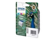 consumabili C13T00101110  EPSC13T00101110.