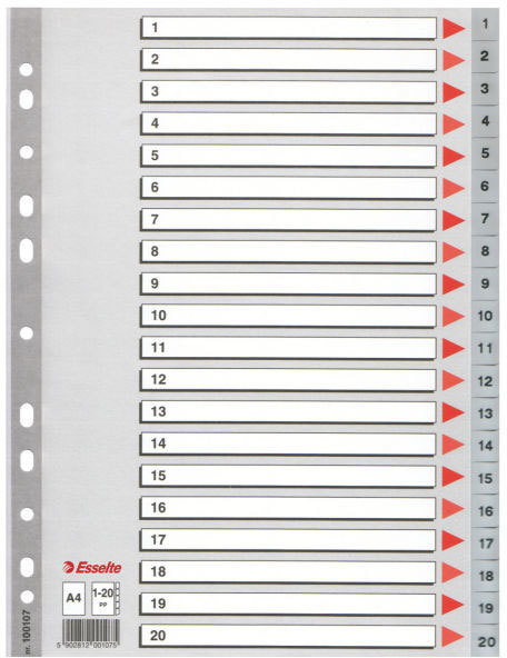 gbc Rubrica numerica in PPL 1-20 - formato A4., marchio ESSELTE.