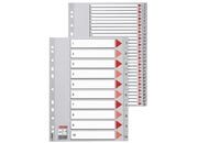 gbc Rubrica mensile (gen-dic) f.to a4 in pp esselte Indice frontale in robusto cartoncino e rinforzi in mylar sul lato forato. tasti in pp a scalino..