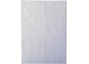 gbc  cartoncino 250g formato A4 - finitura similpelle, BIANCO. Ex codice Esselte 336520, marchio LEITZ ess33652