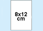 gbc 395800300. Buste  U 90x127mm per fogli   80x120mm. Realizzate in polipropilene lucido di ottima trasparenza e resistenza. Sono particolarmente indicate per contenere documenti di frequente consultazione. Ex codice Esselte 580030,  marchio ESSELTE. Formato esterno: 90x127mm ess395800300