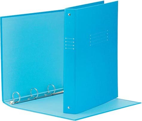 gbc 395690800, Raccoglitore TENDER PESCA, 30mm, in cartone rivestito, 4 anelli rotondi, formato utile 22x30 cm. Ex codice Esselte 569080,  marchio ESSELTE.