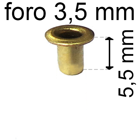 legatoria Occhiello unificato ottone, altezza 5,5mm (OU) per fori diametro 3.5mm. Testa diametro 5,5mm, spessore materiale: 0,3mm.