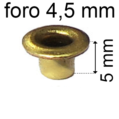 legatoria Occhiello unificato ottone, altezza 5mm (OU) per fori diametro 4,5mm. Testa diametro 6,5mm, spessore materiale: 0,3mm.