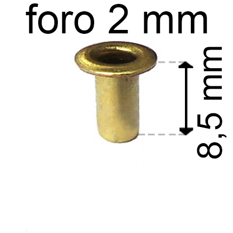 legatoria Occhiello unificato ottone, altezza 8,5mm (OU) per fori diametro 2mm. Testa diametro 3,5mm, spessore materiale: 0,25mm.