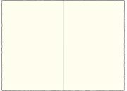 PartecipazioneMedioevalis, CartoncinoLibro206L, Cartiere Miliani Fabriano, formato115x170mm, AVORIO FAR04400206x25