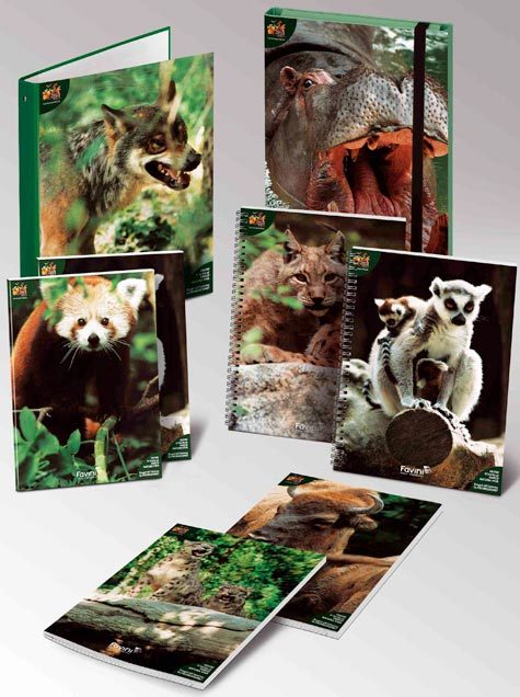 PORTAPROGETTI NATURA VIVA FAVA53X414 - immagine aggiuntiva