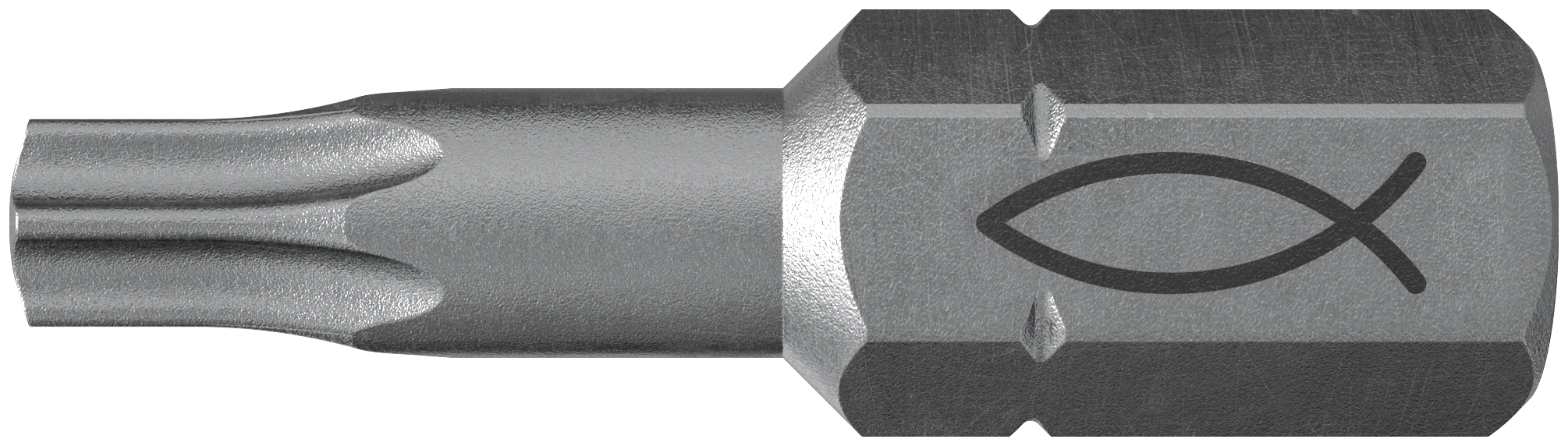 fischer Inserto per avvitatore FPB T 25 PROFI Bit W 10 (10 Pz.) L'inserto per trapano e avvitatore, in acciaio di alta qualit con elevata resistenza all?abrasione per uso professionale fie3767