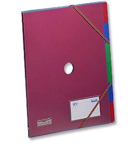 acco Cartella Acco Rexel ICE Monitore rainbow 6 divisori.  Organiser a scomparti in robusto polipropilene. dimensioni: 26x35,5cm, 2102048. Tasca portabiglietti da visita sul fronte. Chiusura con 2 elastici angolari. Foro passante diametro 3cm per vedere dove sono contenuti i fogli. 41-09L.