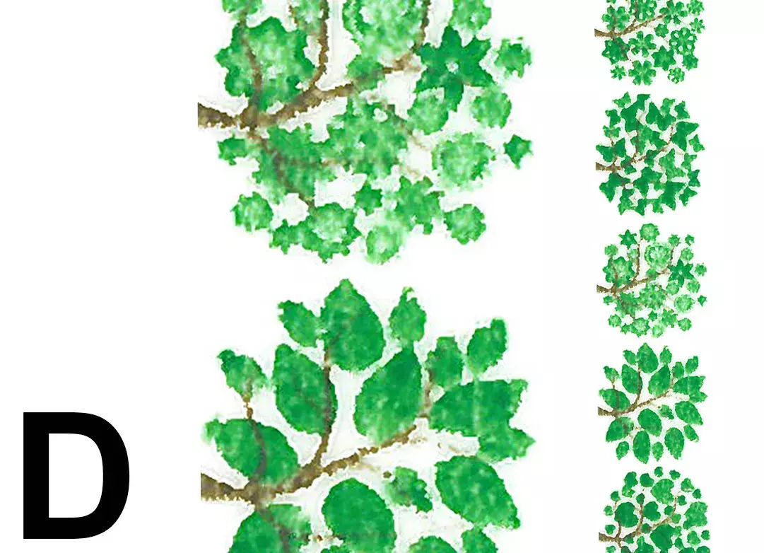 gbc Nastro Adesivo Decorativo Alberi, D Nastro in carta di riso, Adesivo atossico specifico per bambini a base dacqua. Rimovibile senza lasciare residui, riposizionabile. Disponibile in 35 varianti. Misure: 15mm x 10metri. MADE IN GERMANY.