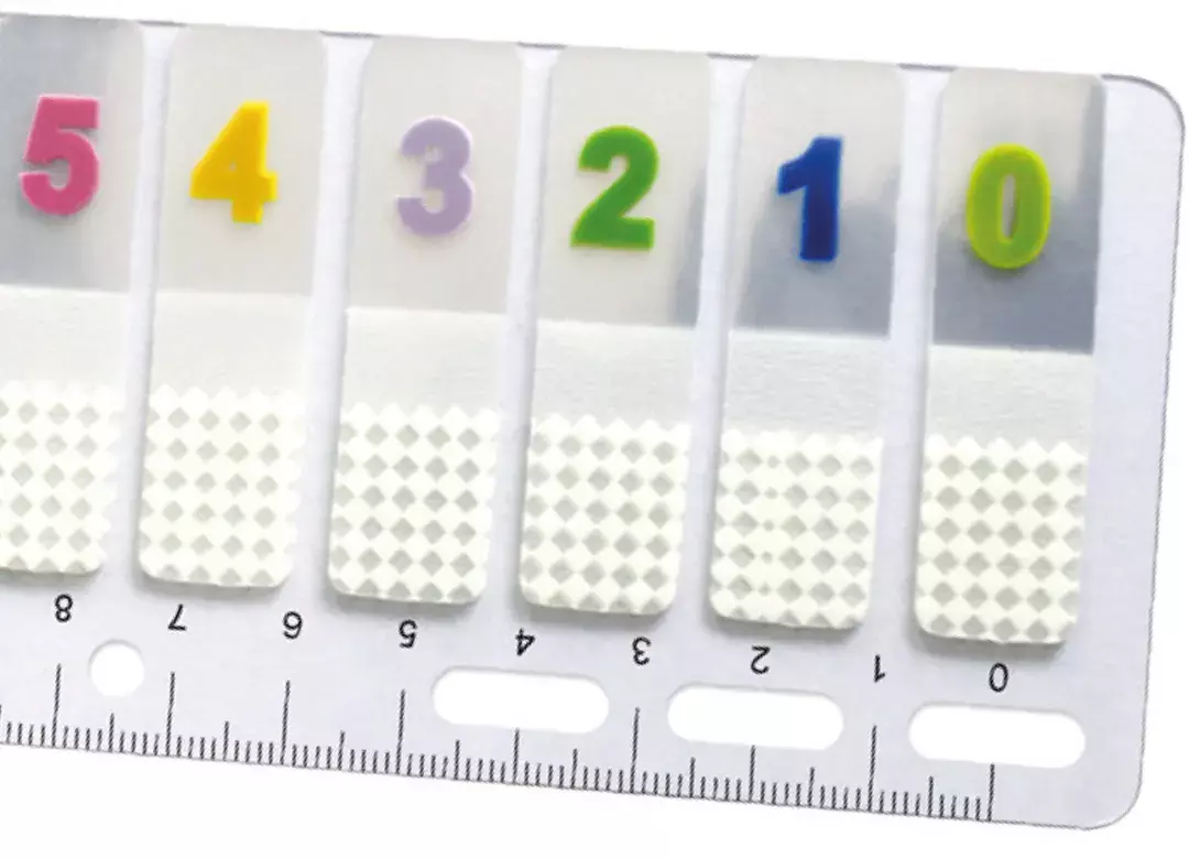 gbc Righello archiviabile 100segnapagina 0-9 PageMarker. Righello rigido in plexiglass con 10 blocchetti da 10 foglietti adesivi assortiti numerici da 0 a 9. Il righello rigido ha la perforazione universale per raccoglitori.  Dimensioni 175 x 65 mm. MADE IN GERMANY Glb874010