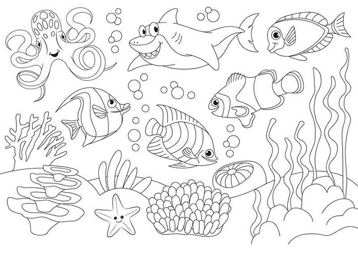 gbc AlbumDaColorare AdesivoA4 5soggetti Per bambini dai 3 anni in poi. Album da colorare formato A4 (20x297cm) 5fogli per 5soggetti, Adesivo removibile atossico a base acqua specifico per bambini. Aderisce su tutta la superficie. MADE IN GERMANY..